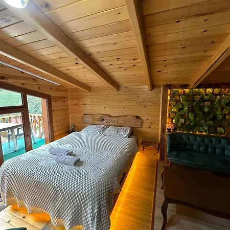 Peruma Hotel 2*