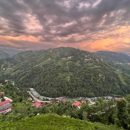 Peruma
